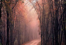 星空体育：结束假期！博主：河南队今天再度集结训练，王上源从国家队回归.