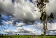 瑞士羽毛球公开赛女单半决赛：陈雨菲2-0瓦尔达尼，晋级决赛.