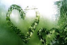 林良铭红牌，蒋光太受伤，王上源停赛国足下场踢澳大利亚好难.