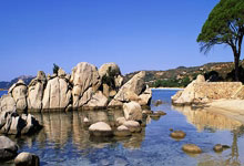 [CBA]常规赛3月11日：九台农商银行VS浙江方兴渡 琼斯集锦.